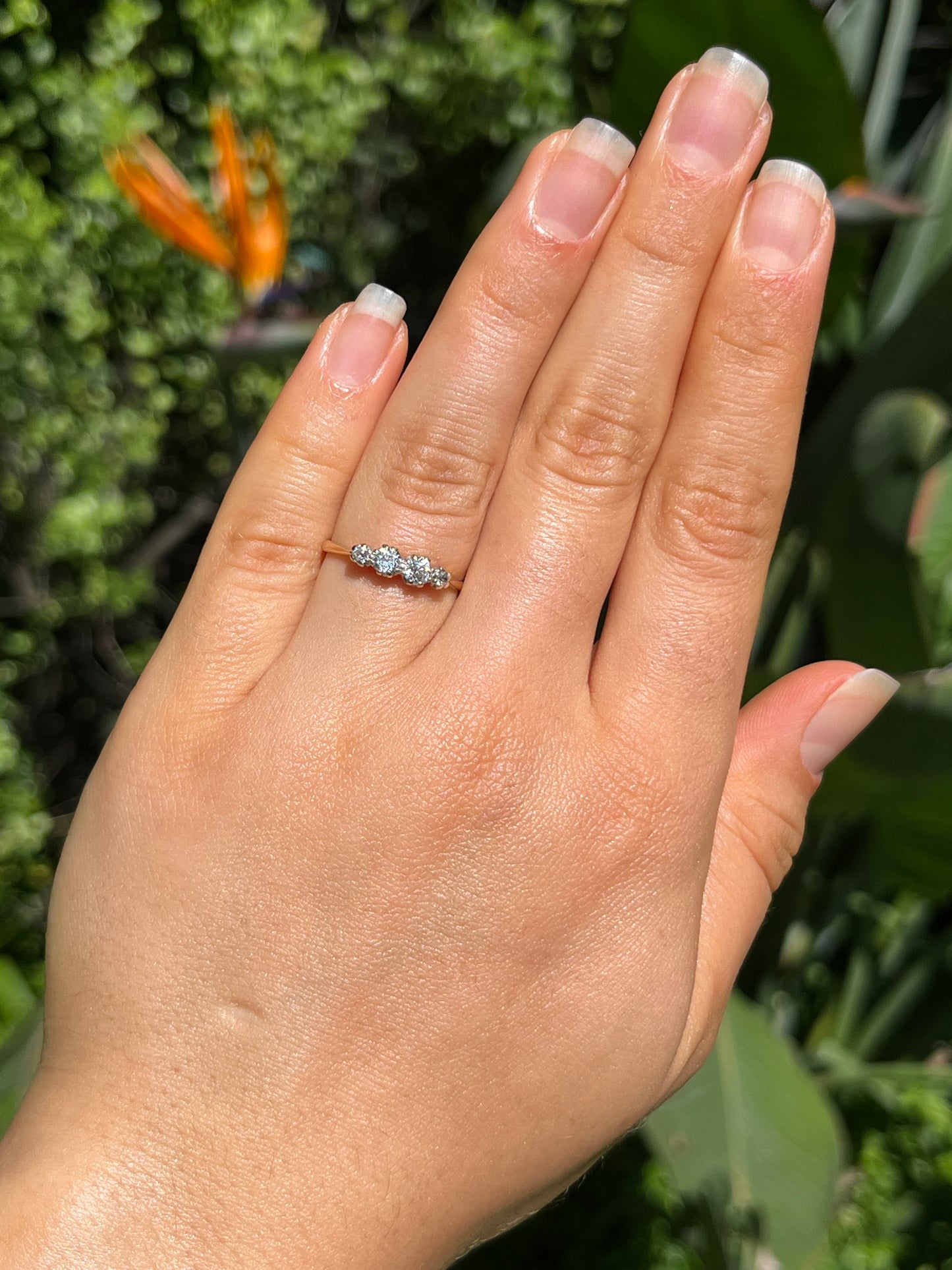 Edwardian, 18K gold diamond ring